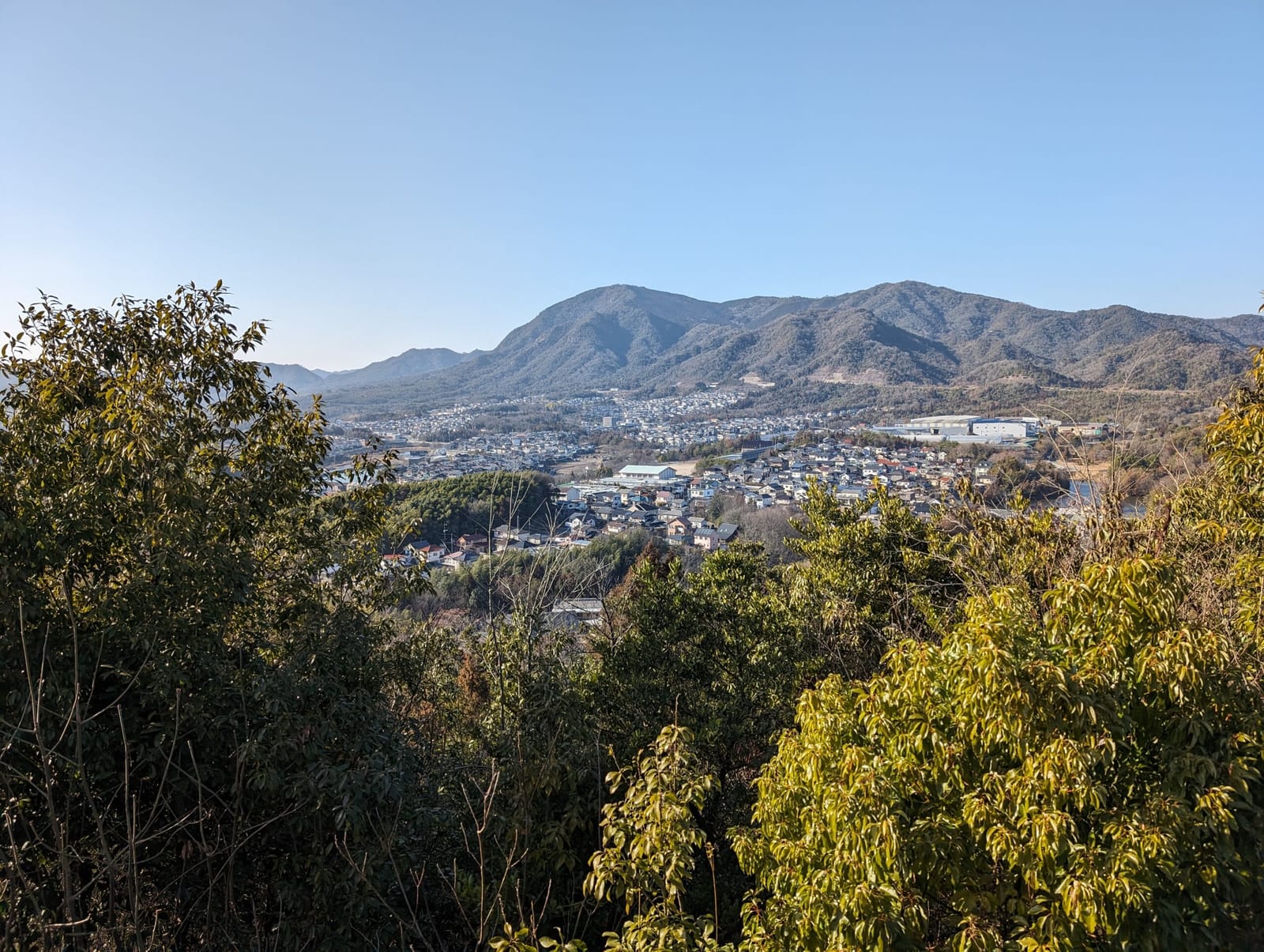 Pixel 8 1倍
