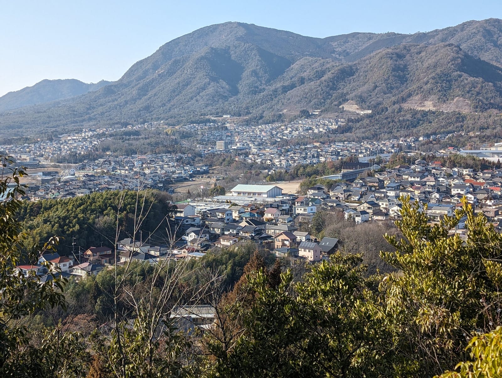 Pixel 8 2倍