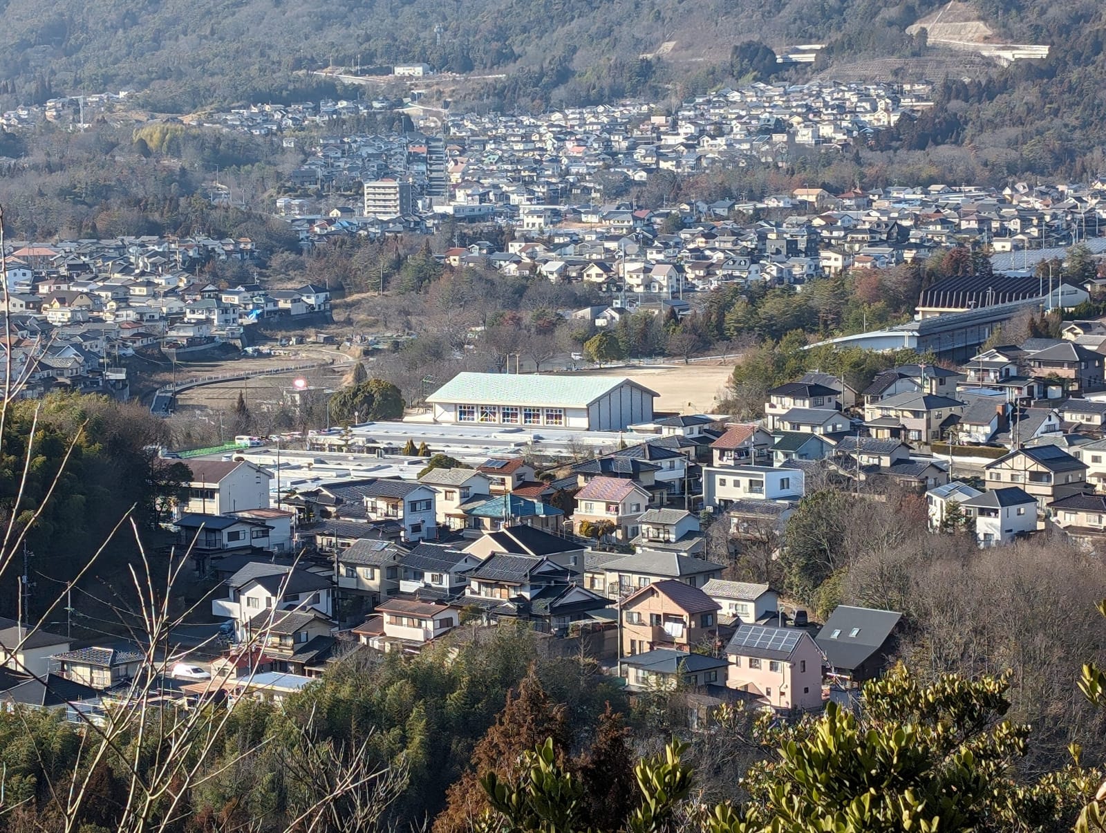 Pixel 8 4倍