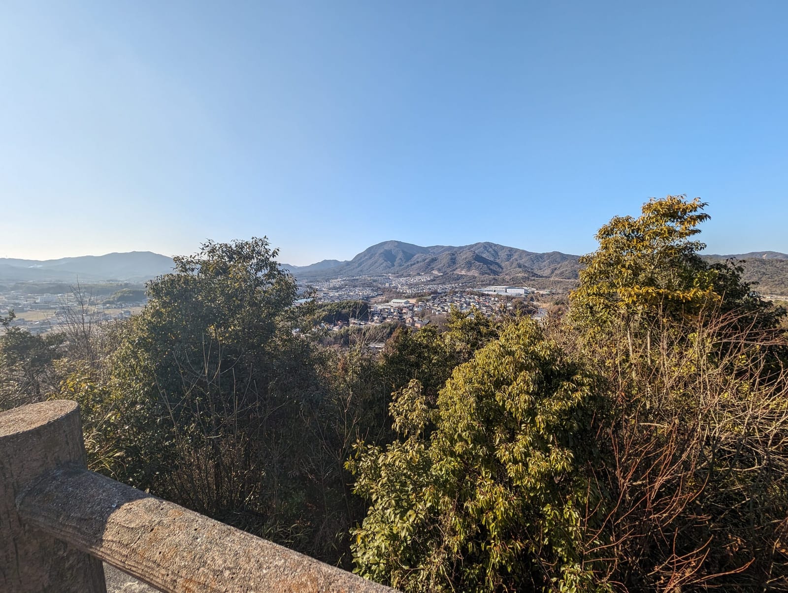 Pixel 8 Pro 0.5倍